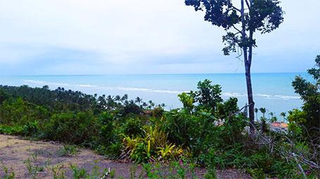 Terreno Espaçoso À Venda Frente Ao Mar