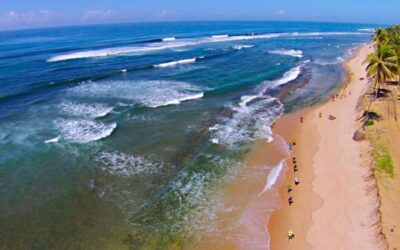 Apartamentos Recentes em Praia do Forte