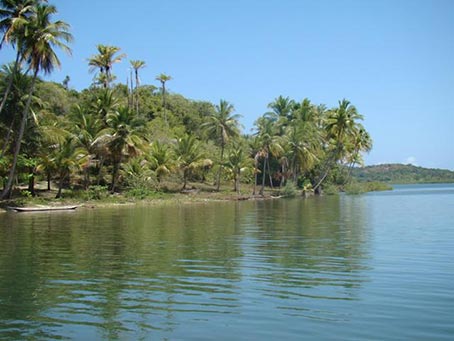 Bela Ilha Com Uma Casa na Baía de Camamu