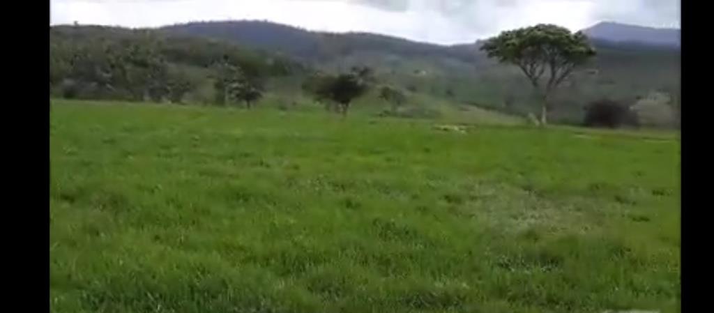 Fazenda De Pasto Para Gado