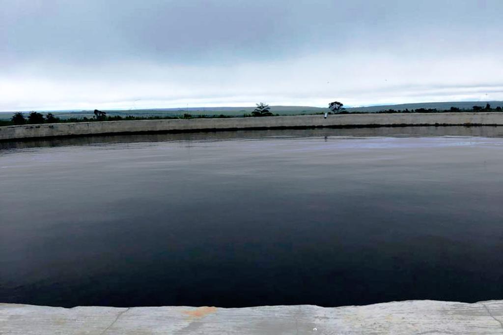 Fazenda Pecuária 1.500 Cabeças Gado