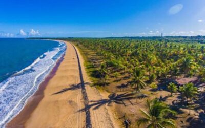 Terrenos à Beira-mar à Venda na Bahia