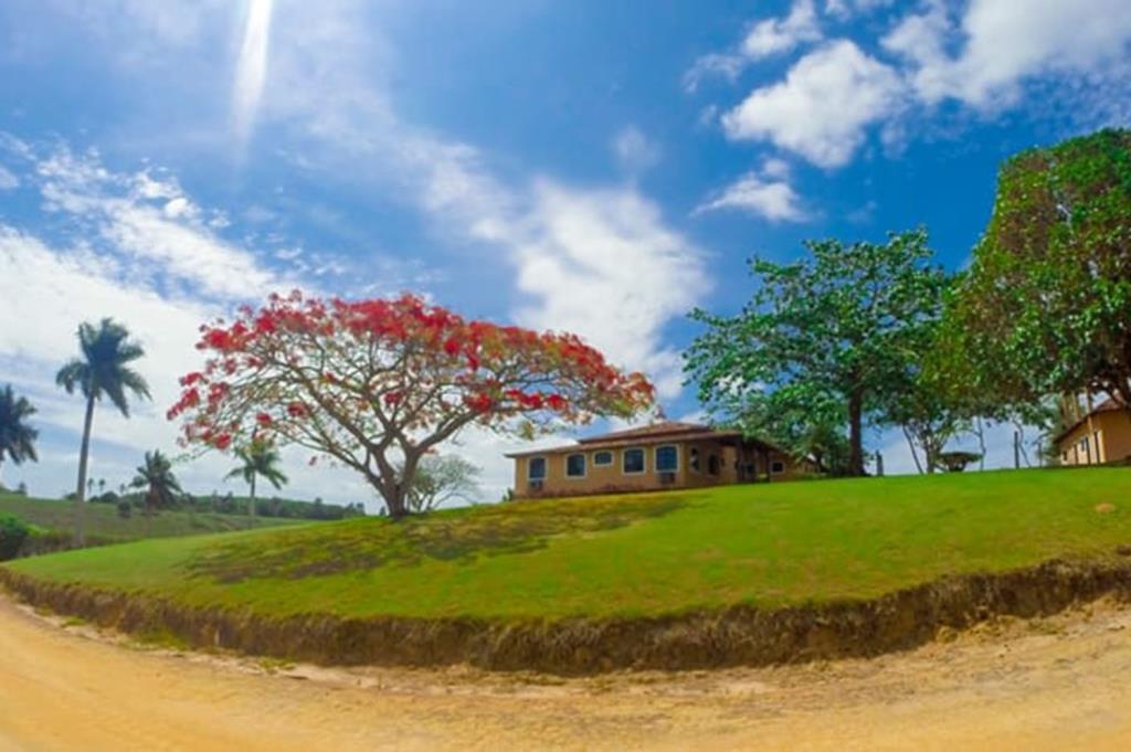 Mega Fazenda Cacau Pecuaria E Seringa