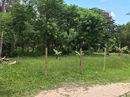 Excelente Terreno em Condomínio Frente ao Mar