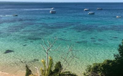 Imóveis Recentes À Venda em Morro de São Paulo