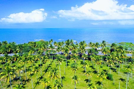44 Hectares de Terreno À Beira-Mar em Porto Seguro