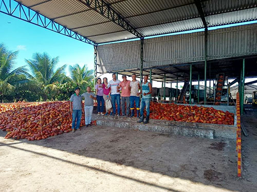 Fazenda Mista com Vários Cultivos