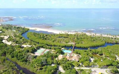 Excelentes Terrenos à Venda na Praia do Forte